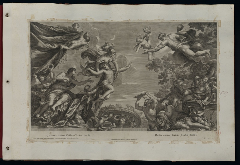 File:Area04 005 01.jpg