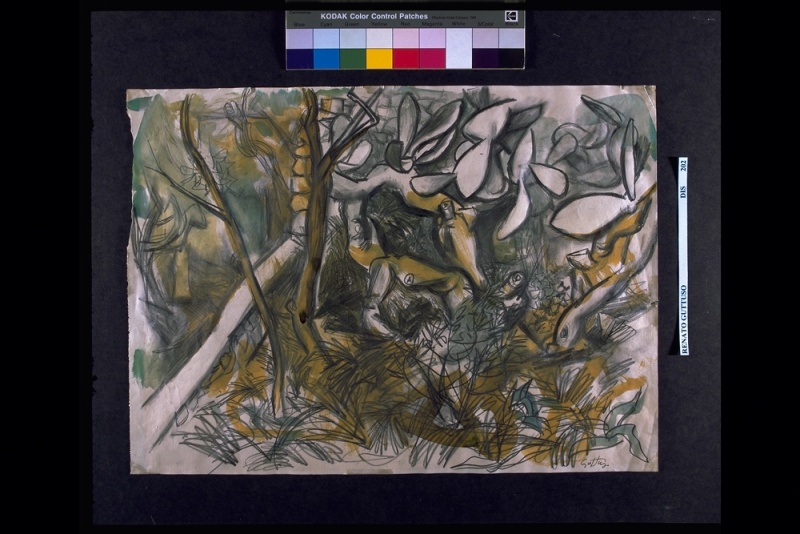 File:Area01 034 01.jpg