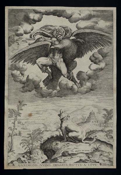 File:Area01 004 01.jpg